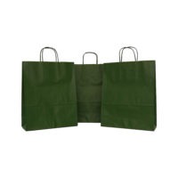 SET 10 BUCATI SACOȘĂ KNV 32*12*41 CMR COLOR VERDE TUBORG