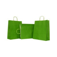 SET 10 BUCATI SACOȘĂ KA 25*11*31 CMR COLOR VERDE P376U